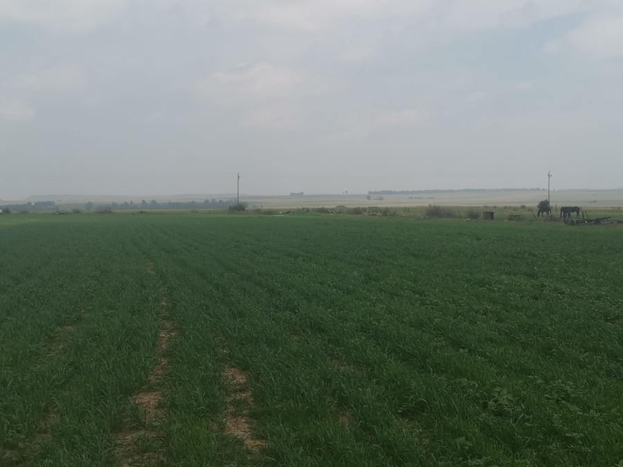 5 Bedroom Property for Sale in Senekal Rural Free State